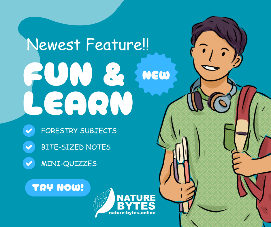 New Feature Alert: “Fun & Learn” for FLE 2025 Forestry Review! – Nature ...
